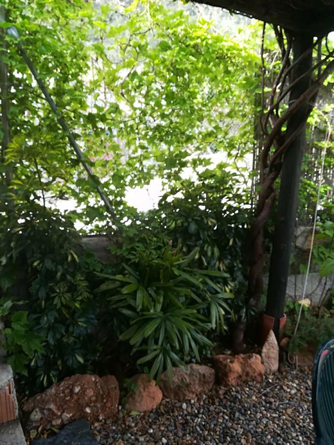 NATURALEZA CASA PERGAR - DESDE 35e POR NOCHE Acebuches Exterior foto